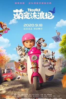 一天的摄影机